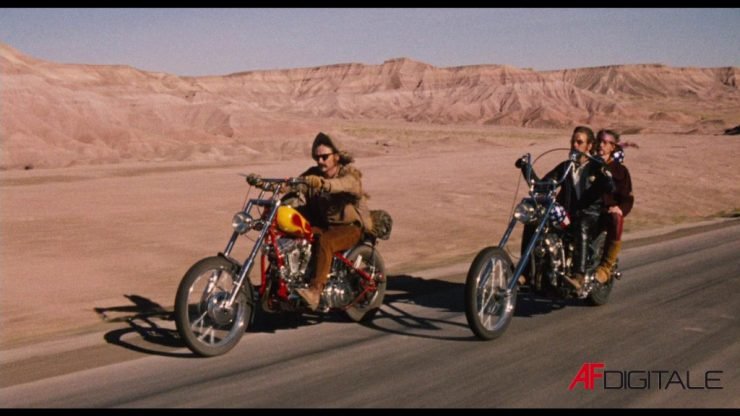 EASY RIDER HARLEY
