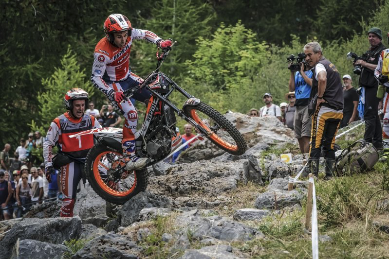 toni bou