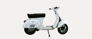 ordinanza anti vespa