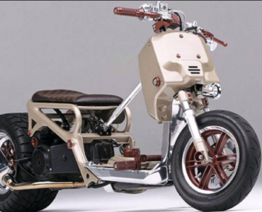 Honda Ruckus