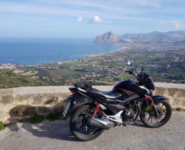 erice