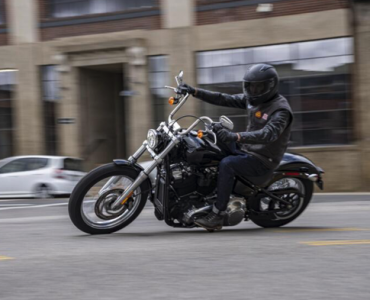 softail standard