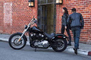 softail standar