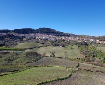 contessa entellina