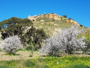 ibla