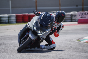 proma performante