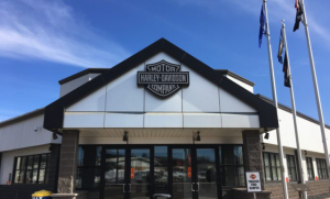 licenziamenti harley