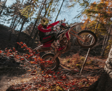 Fantic XEF 250