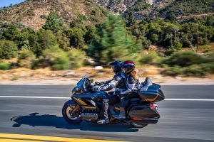 gold wing