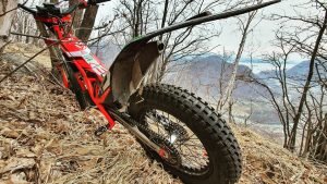 trial