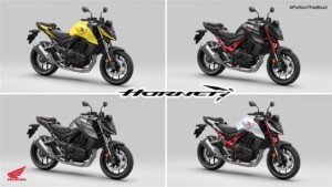 Hornet 2022