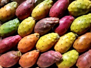 La mia Sicilia